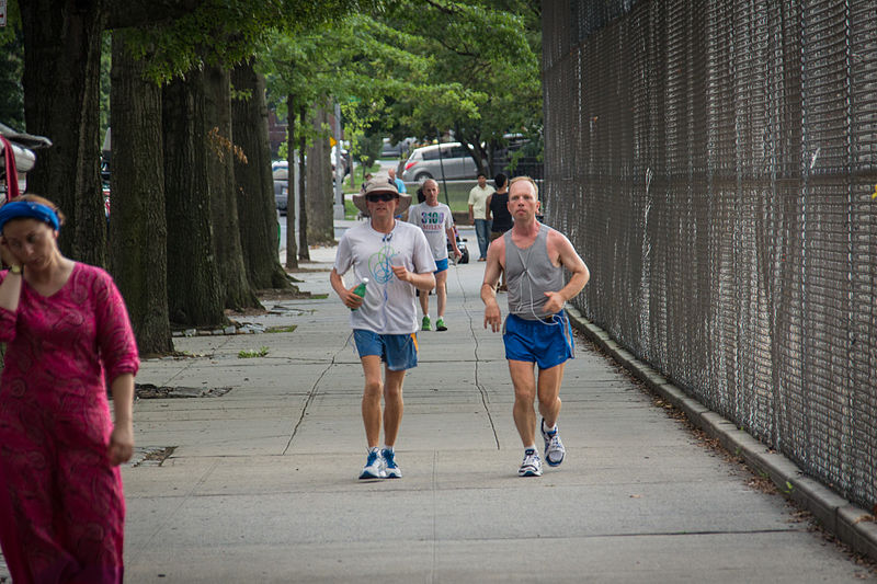 Фото: Wikimedia.org